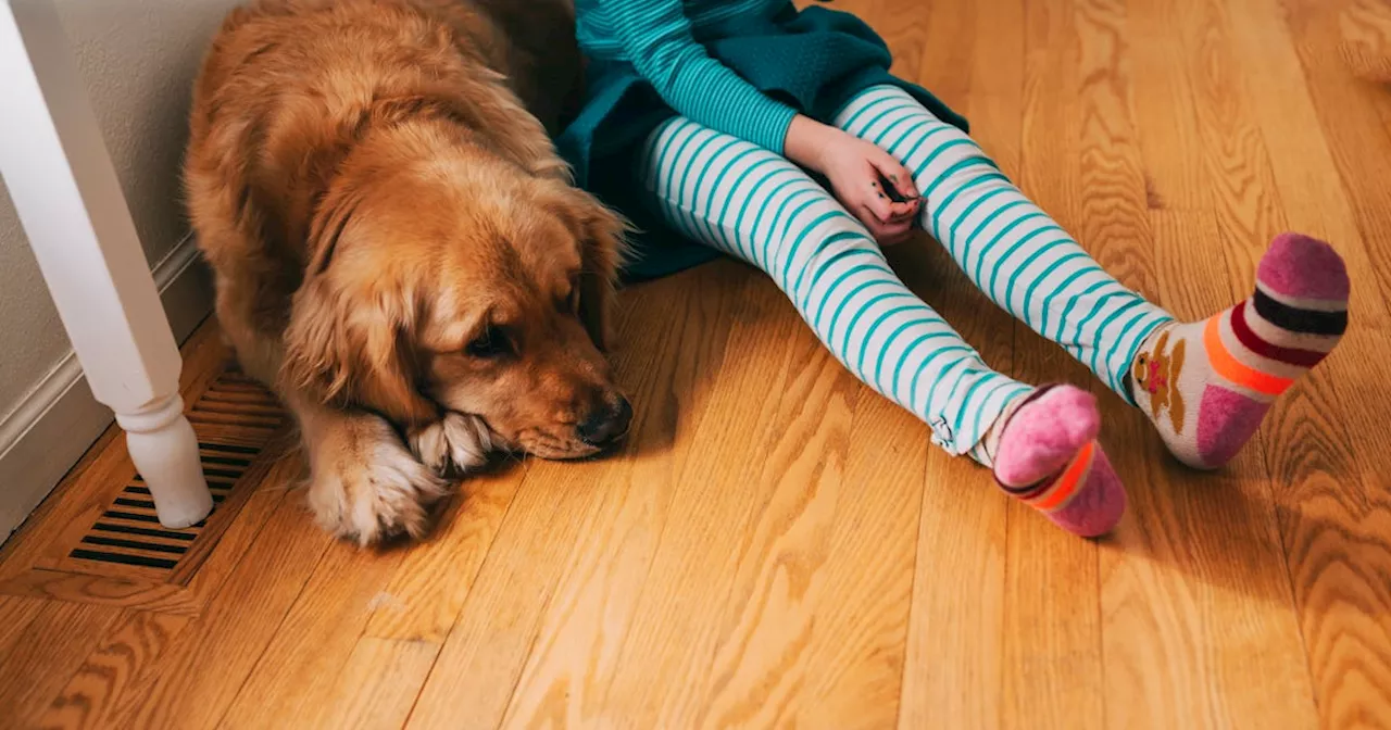 Study: Parents OK With Spanking Children, But Not Hitting A Pet