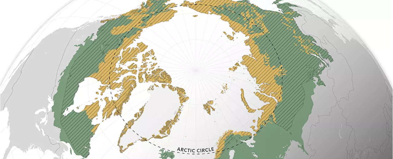 Arctic-Boreal Zone: Shifting Carbon Balance Raises Concerns