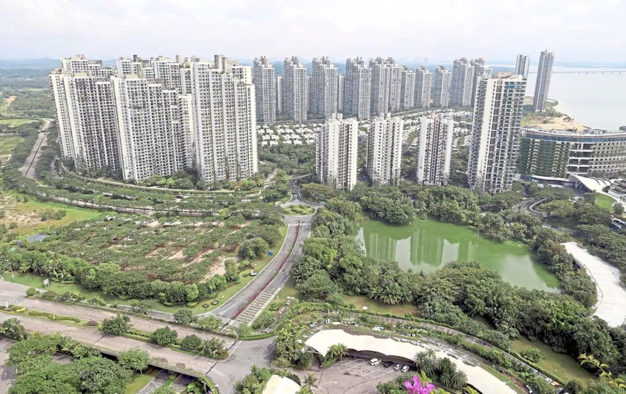 Forest City Attracts International Investors After Designation as Special Financial Zone