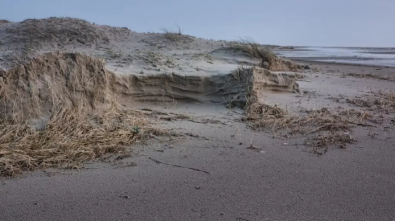 Abrasi Pantai Indonesia Menakutkan: 44 Persen Hilang dalam 10 Tahun Terakhir