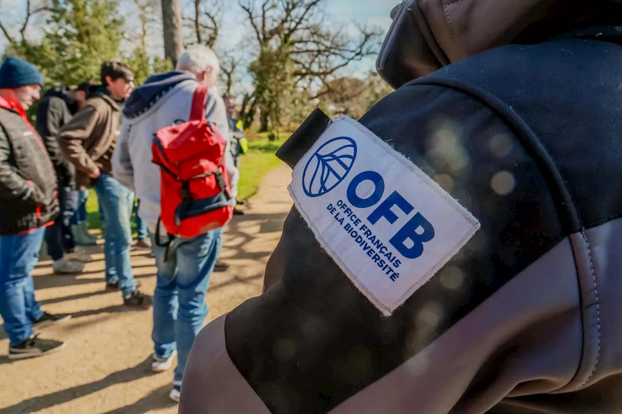 Grève des agents de l'OFB le 31 janvier: «Humiliation» après les propos de Bayrou