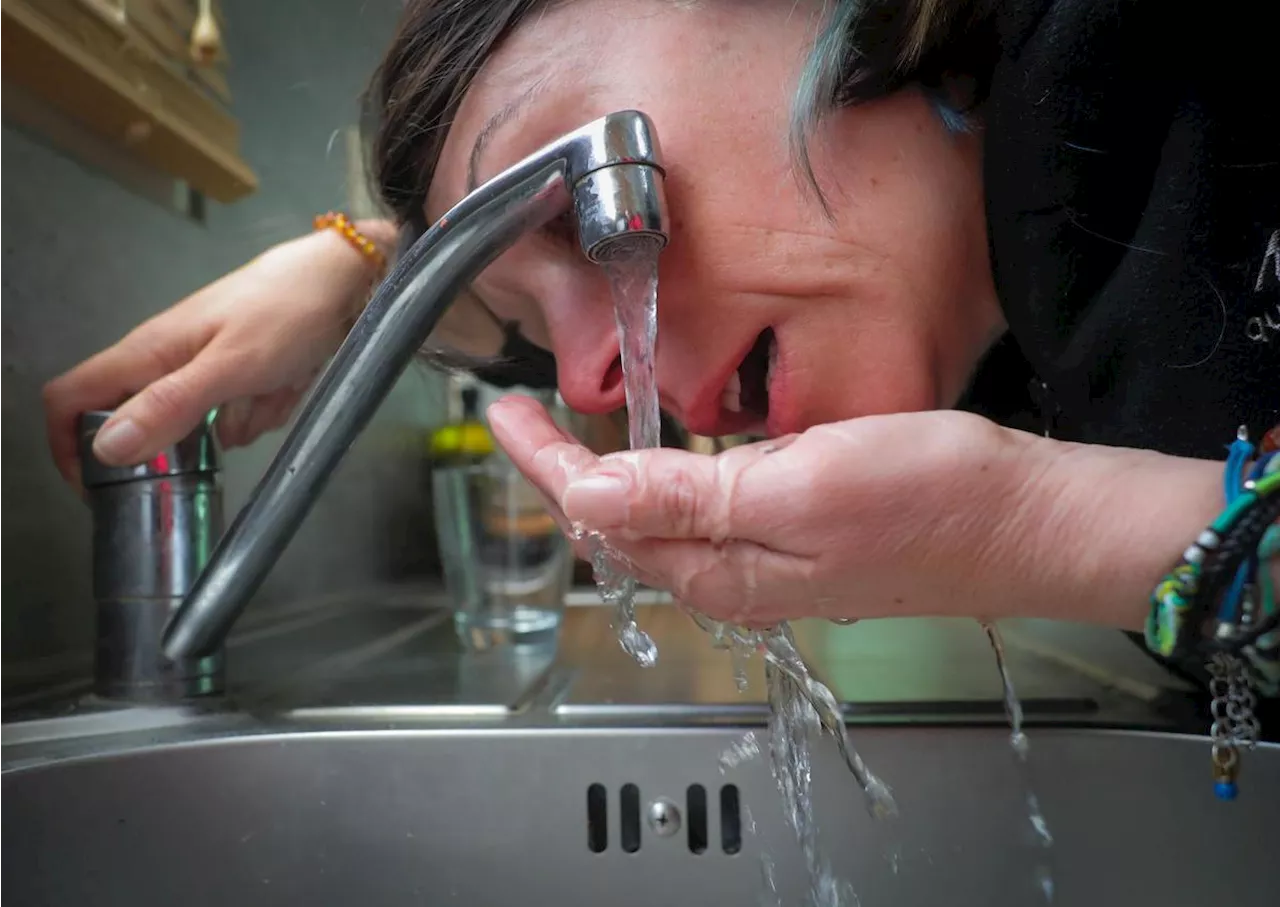 Vidéo TV7. Polluants éternels : notre eau est-elle vraiment potable ?