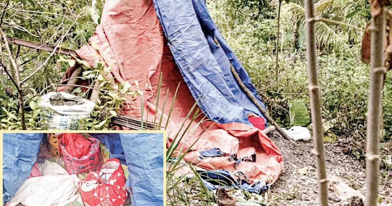 Mother and Daughter Found Dead in Tent in Cebu