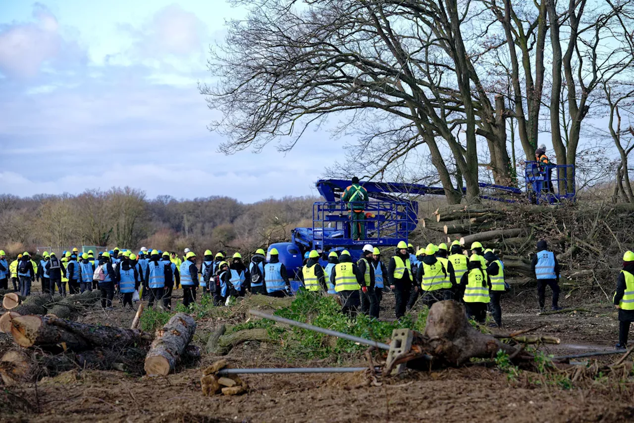 RWE beginnt mit Rodungen im Hambacher Forst