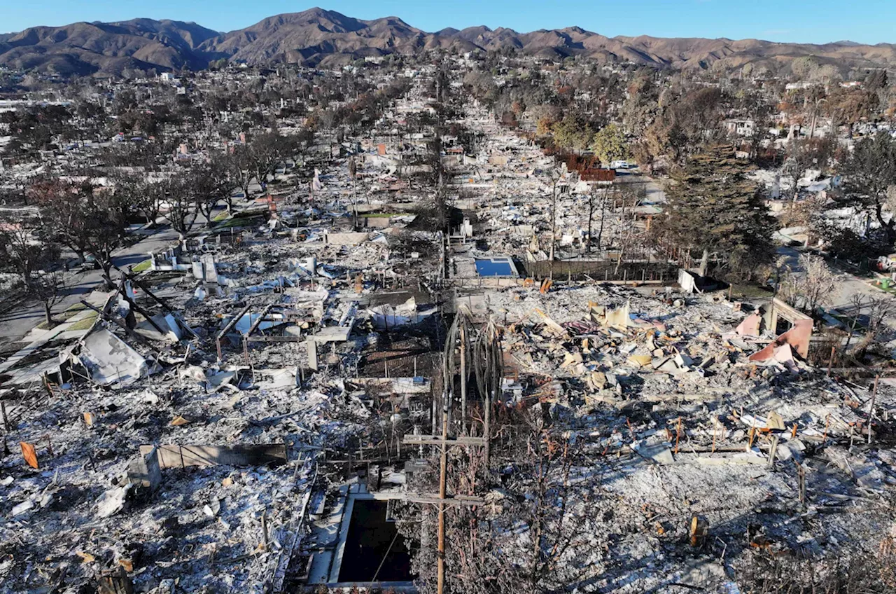 Wie der Klimawandel die Waldbrände in Los Angeles verschlimmerte