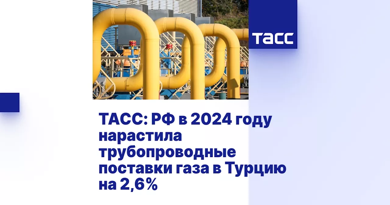 Россия увеличила поставки газа в Турцию в 2024 году