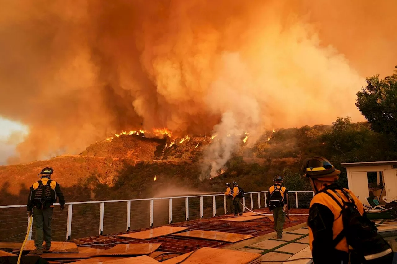 Klimaschutz: 2,3 Millionen Tote in Europa bis 2098