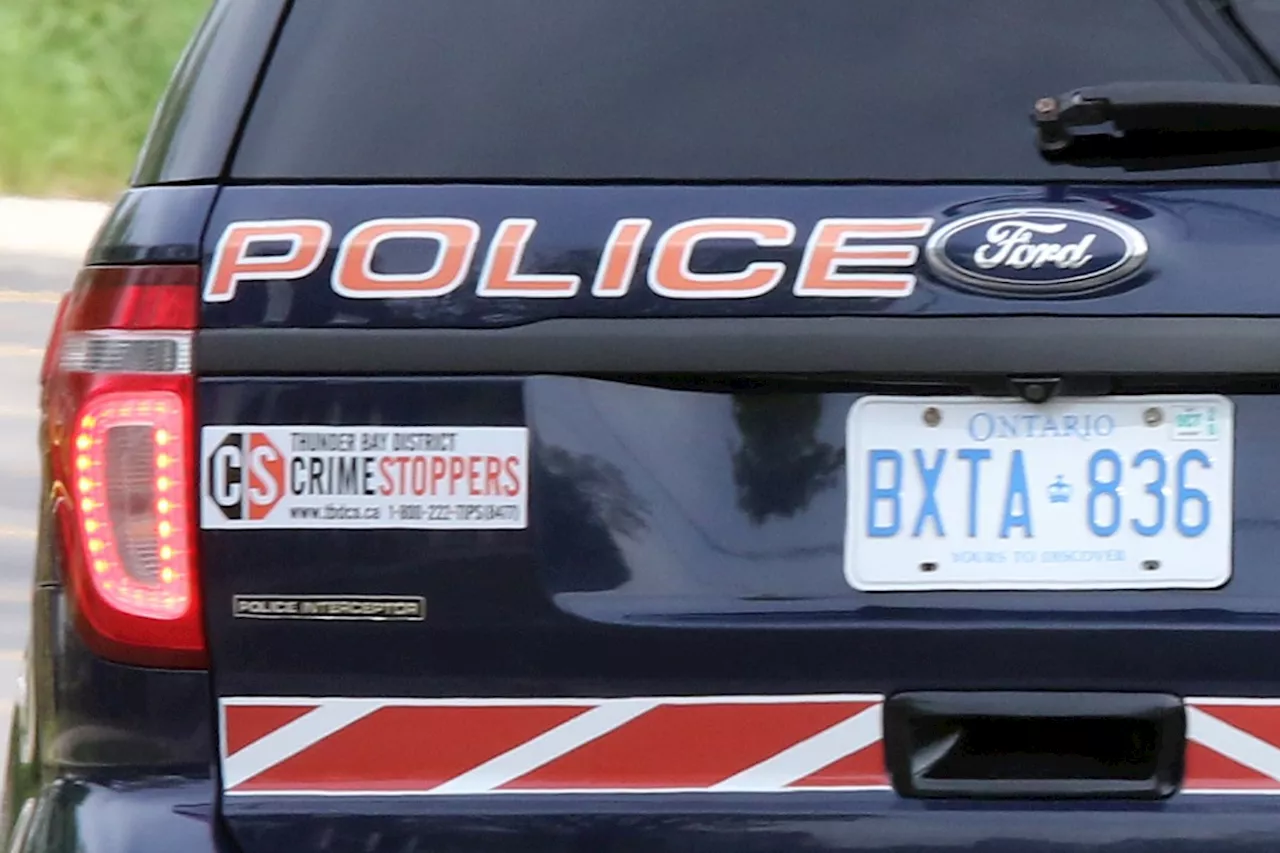 Man Arrested After Taxi Driver Assaulted, Vehicle Stolen in Thunder Bay