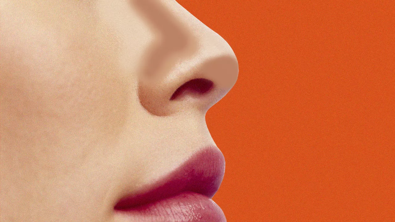 Unblended Nose Contour: Makeup Trend Divides the Internet