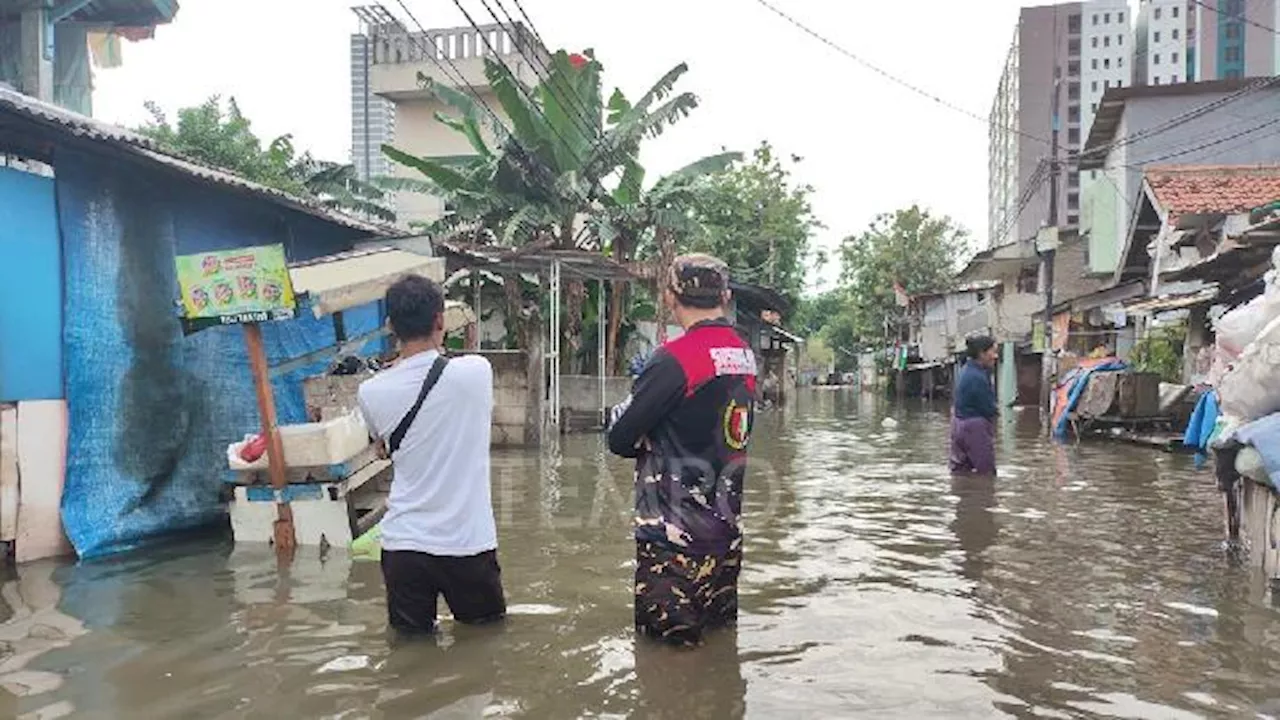 Banjir Luapan Sungai Merendam Rawa Buaya