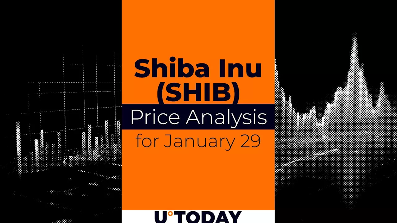 SHIB Price Prediction for January 29