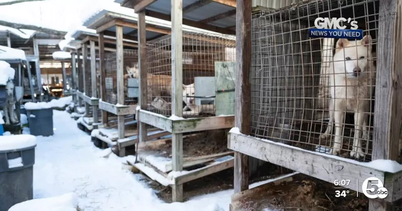 Hundreds of Animals Rescued from 'Horrific' Farm in Ohio