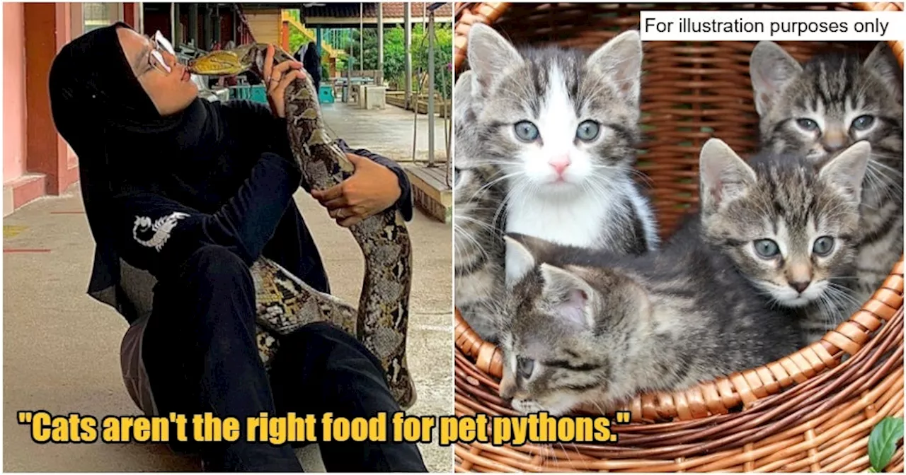 Woman Denies Feeding Cats to Pythons