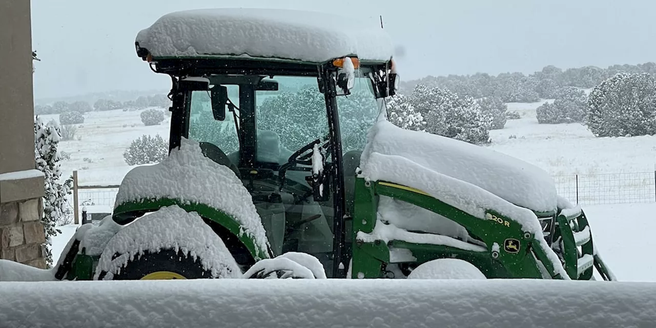 Florida farmers could receive up to $500k in recovery funds after winter storm