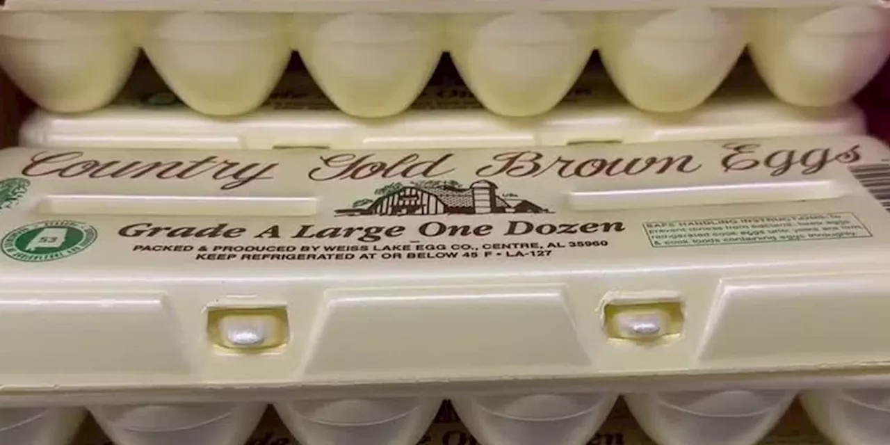 Rising Egg Prices Force Local Restaurants to Adapt