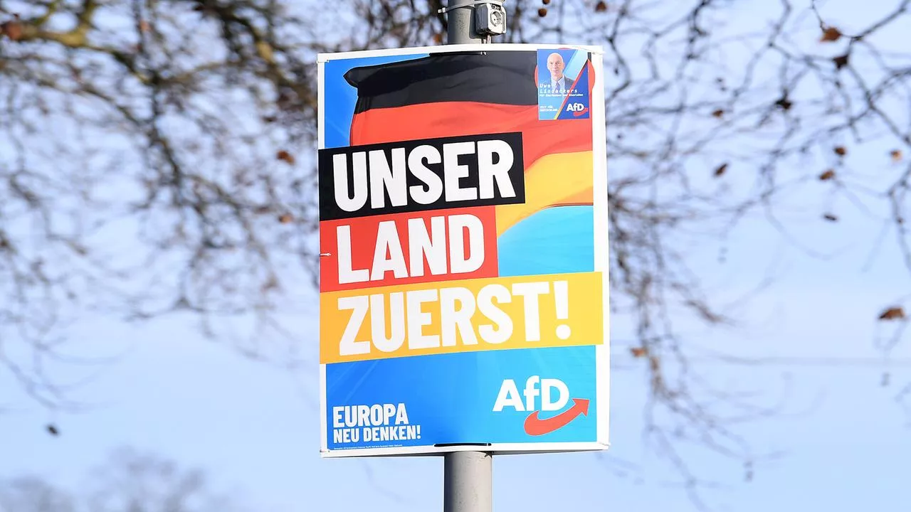 AfD-Großspende: Unternehmer fordert Millionen zurück