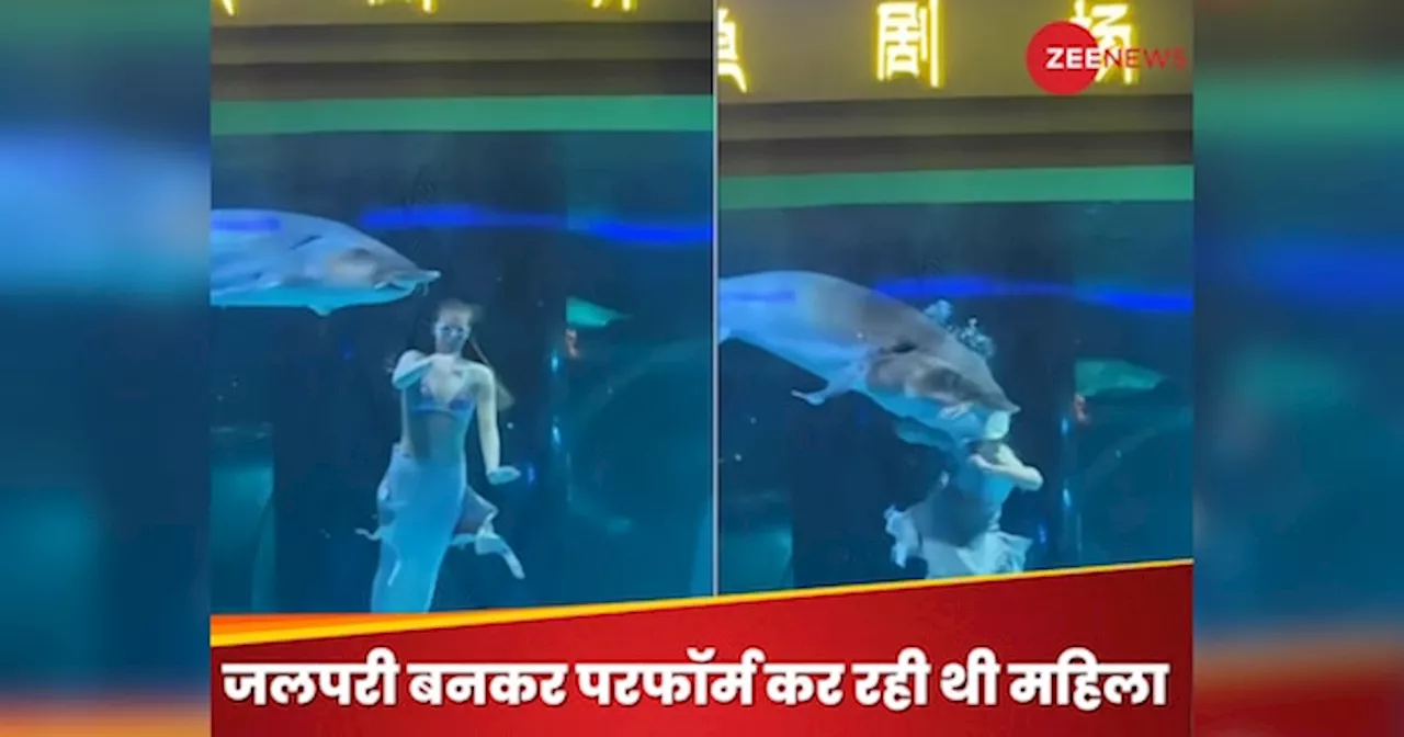 Watch: समुद्र में परफॉर्म कर रही थी महिला, अचानक आया खतरनाक जानवर, फिर जो हुआ, देख...