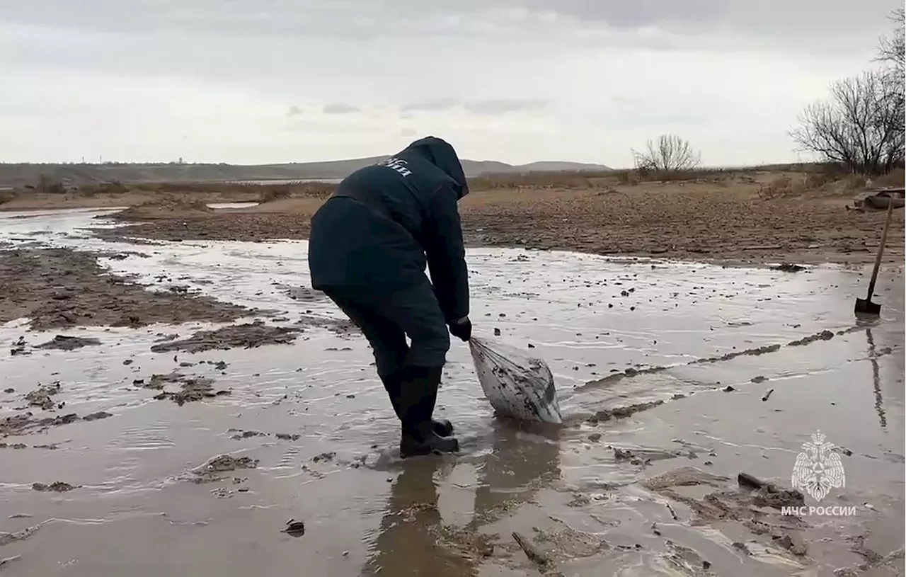 Marée Noire en Mer Noire: La Russie et la Crimée Luttent contre une Catastrophe Ecologique