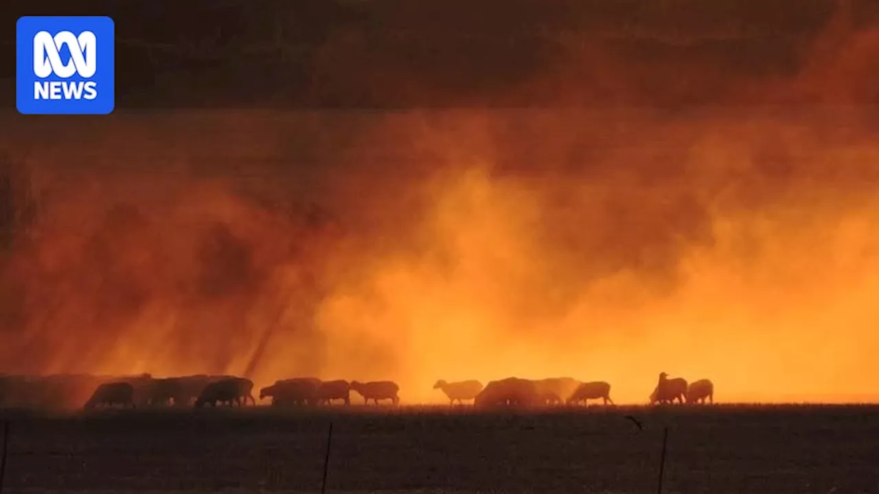 Australia Scorches Under Intense Heatwave