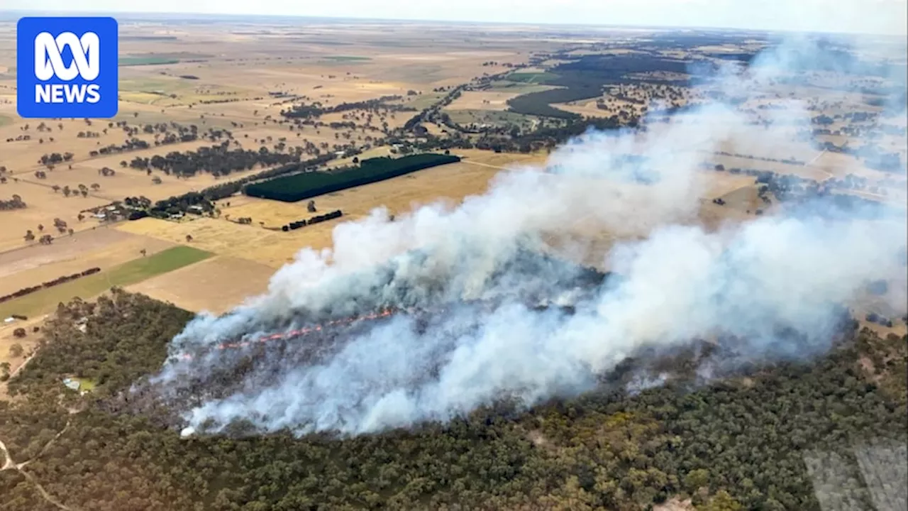 Bushfire Threatens South Australia's South-East