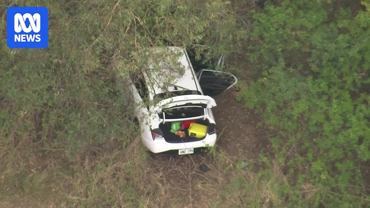 Two Arrested After Attempted Home Invasion and Police Chase in Sydney