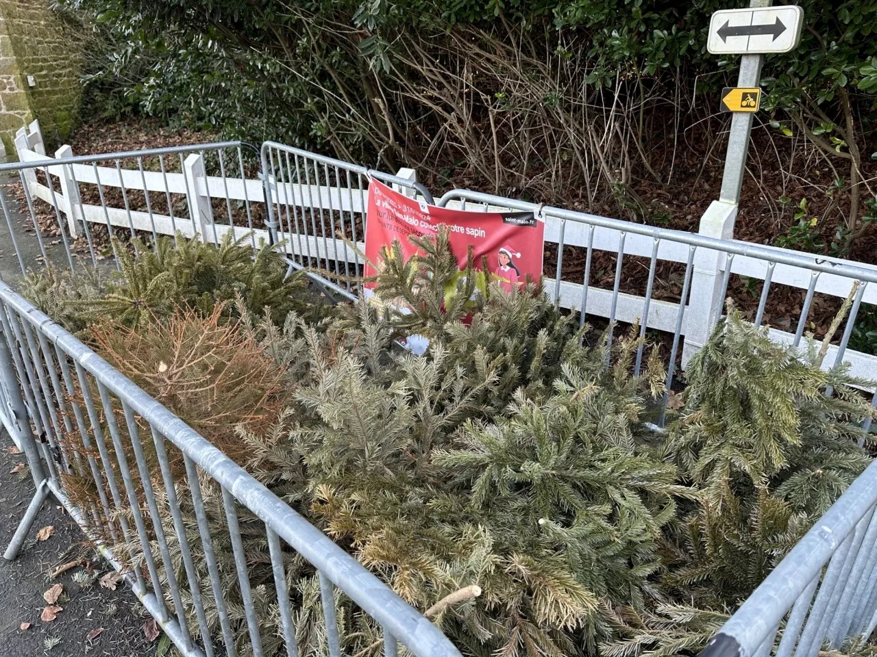 Saint-Malo : 14 points de collecte où déposer son sapin de Noël