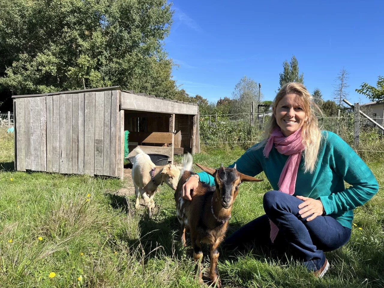 Une ferme pédagogique itinérante sillonne la Gironde