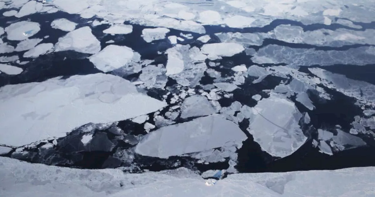 Arctic Tundra Shifts from Carbon Sink to Source, Fueling Global Warming