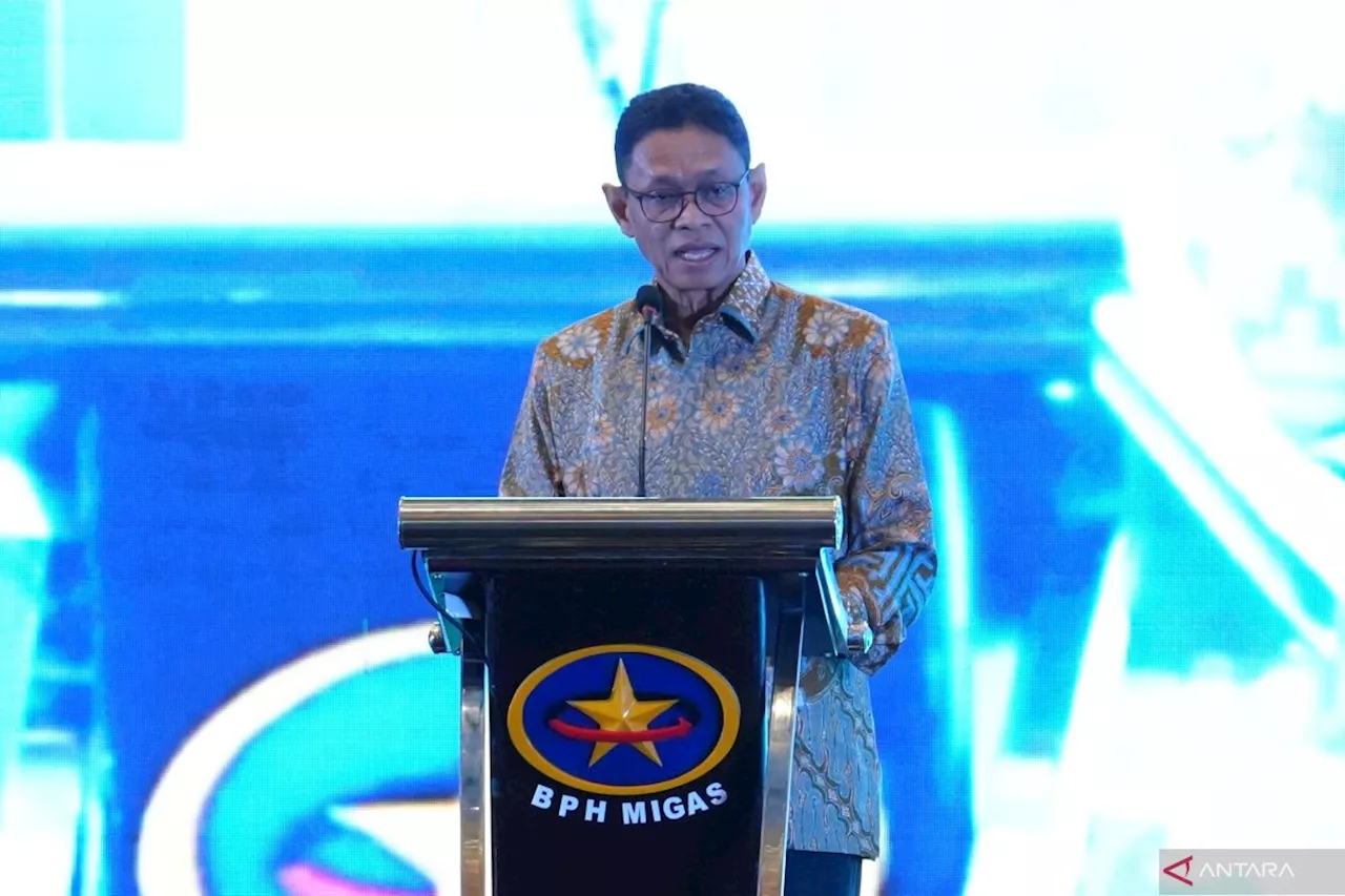 Direktorat Jenderal Penegakan Hukum ESDM Dibentuk 2025 untuk Batasi Tambangan Ilegal