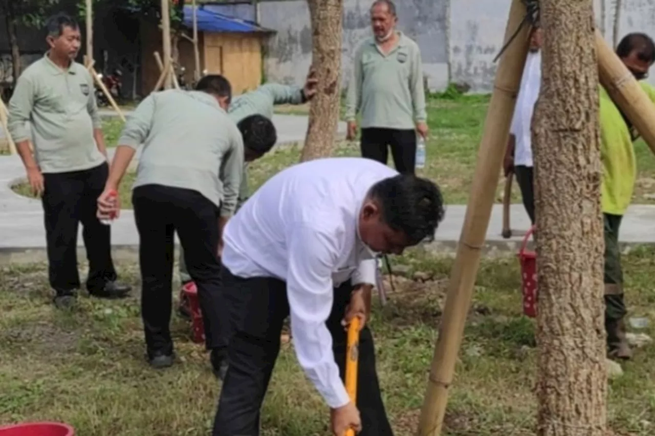 Pemkot Jakbar Tanam 100 Pohon Tabebuya di Duri Kosambi