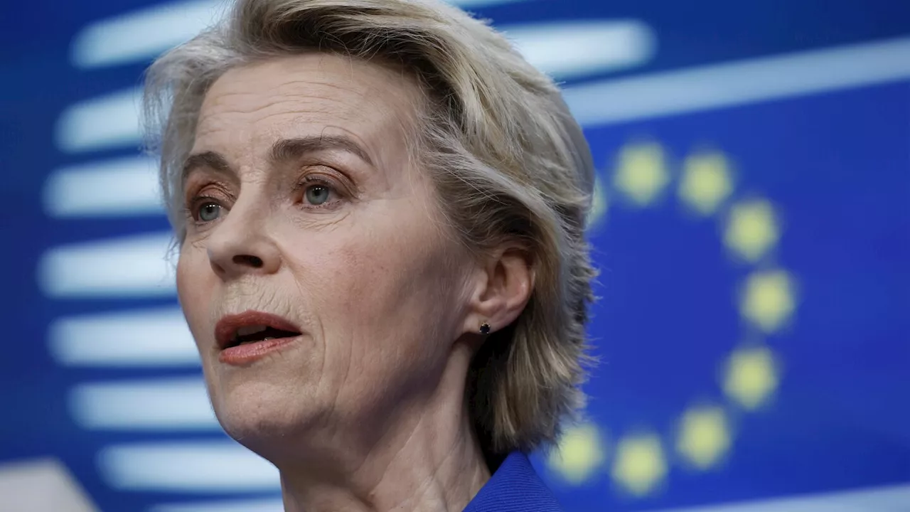 EU Commission chief has 'severe pneumonia' and will be out for 2 weeks