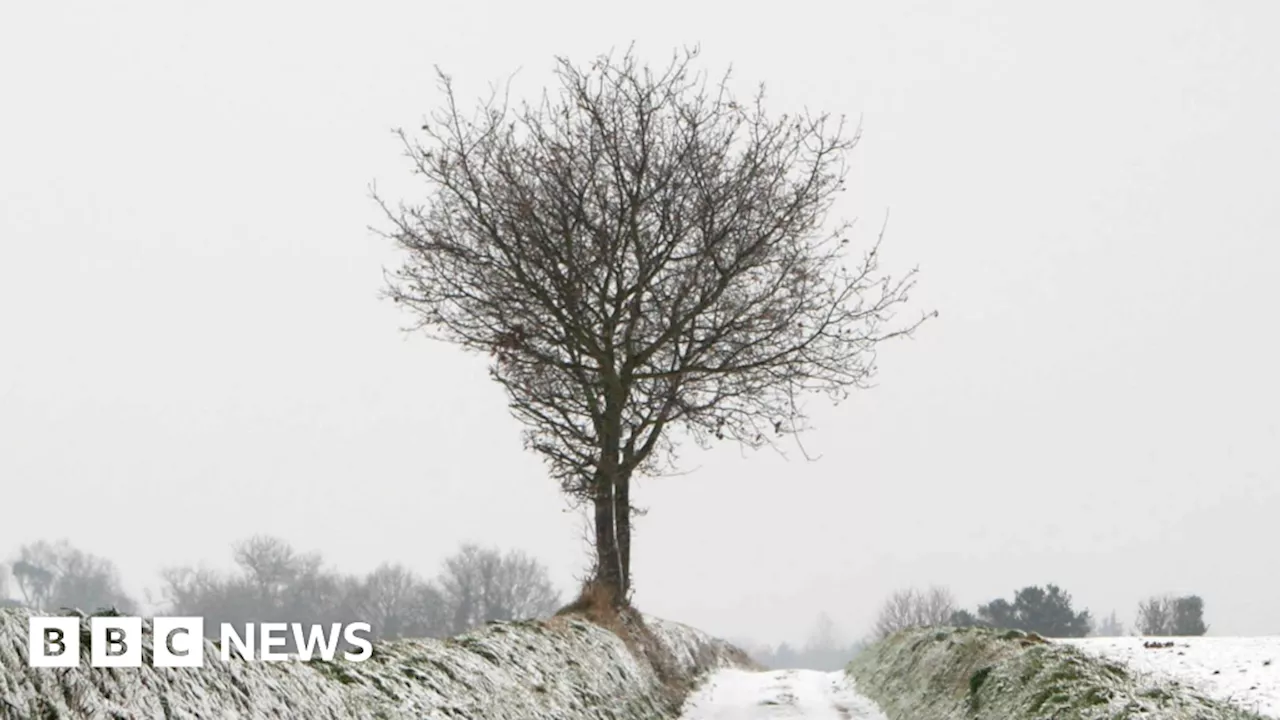 Cold Weather and Possible Snow Forecast for East of England