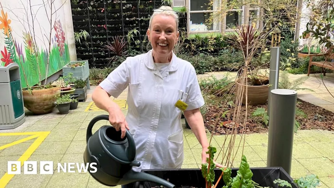 Sensory Garden Offers Refuge for Dementia Patients