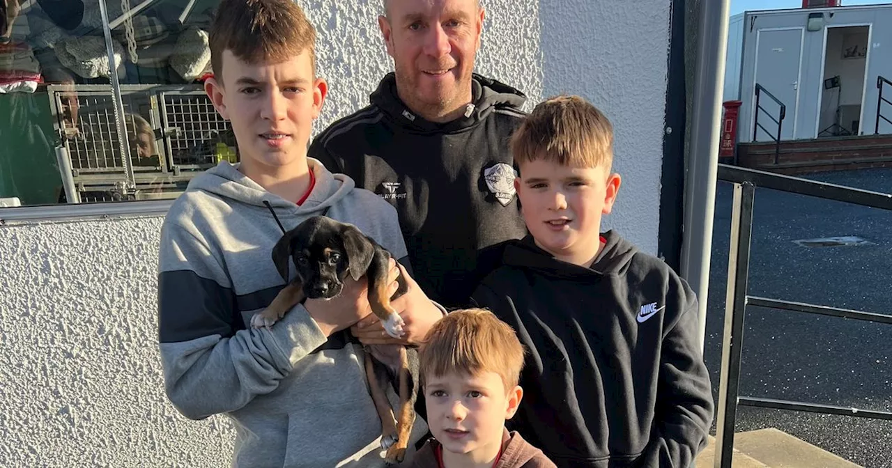 Family Saves Puppy From Freezing Canal Bank