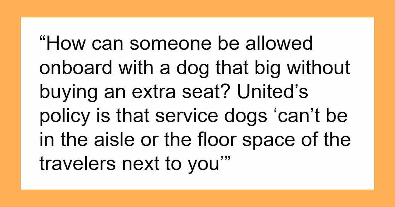 Is This What Air Travel Has Become? Passenger Forced To Move For Oversized Service Dog