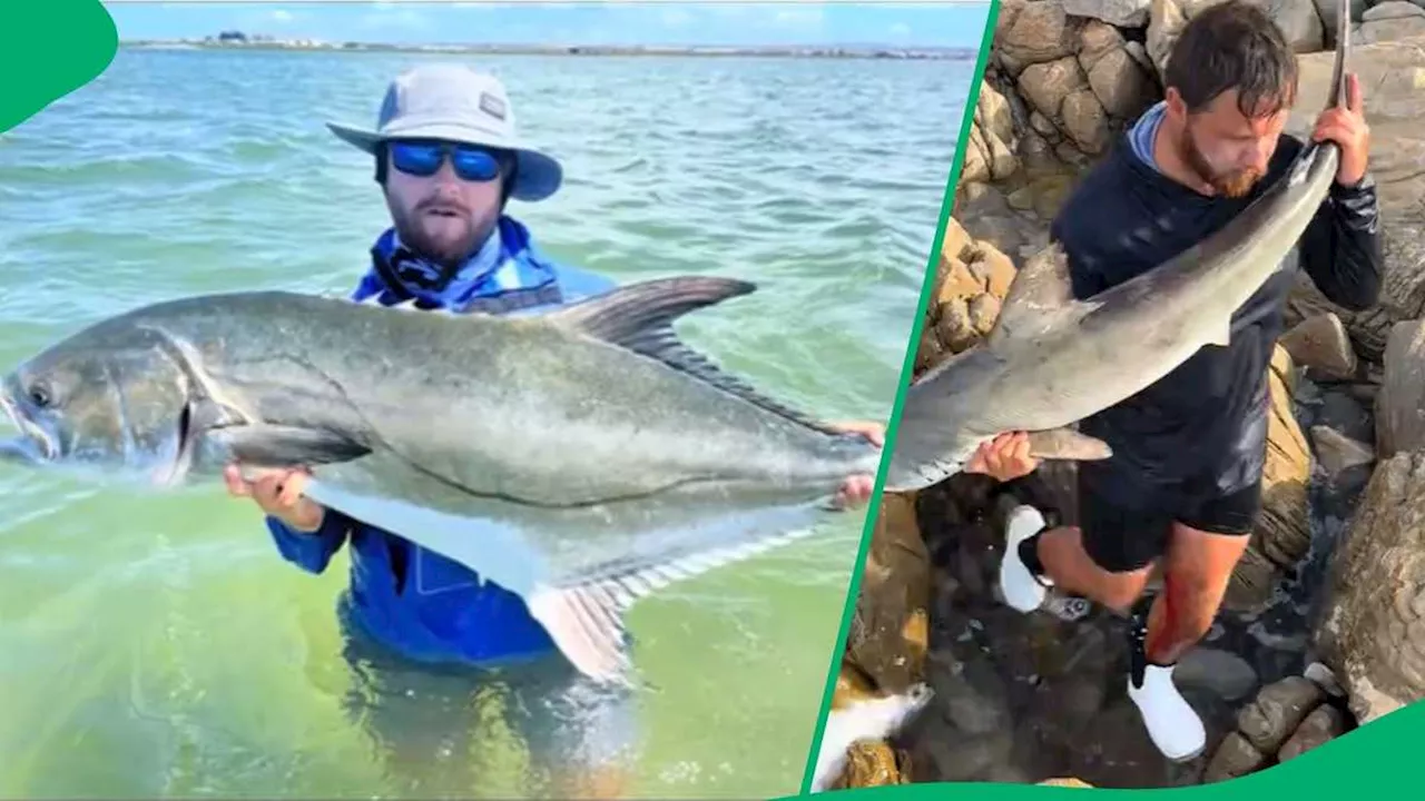 Man Carries Shark Across Rocky Shore for Release