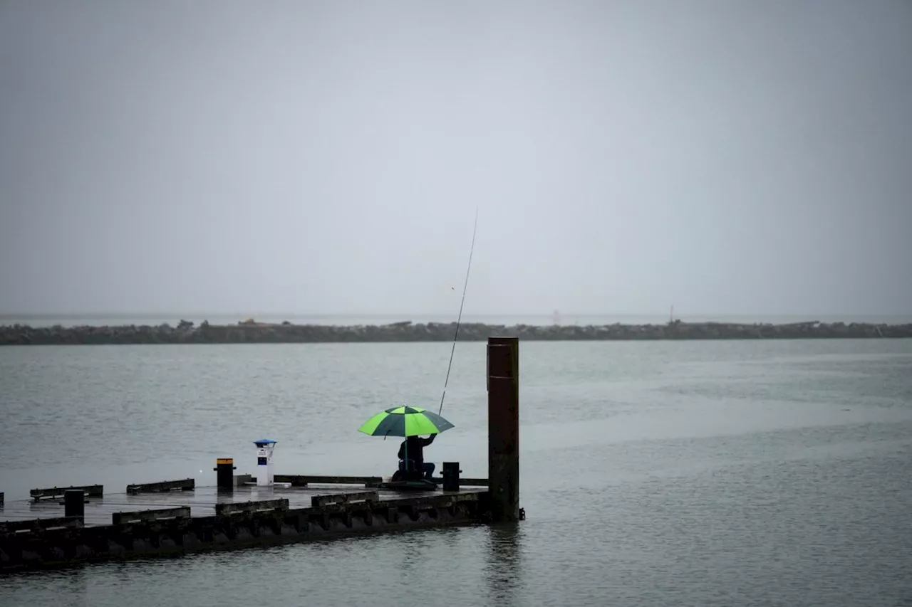 Vancouver's 2024: Wettest Year This Century