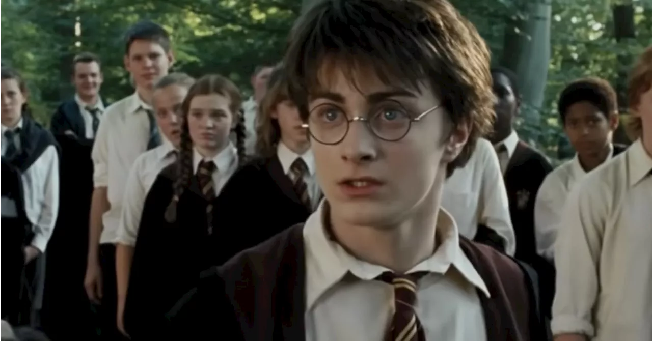 Harry Potter Fans Have a Lot of Burning Questions About the Series