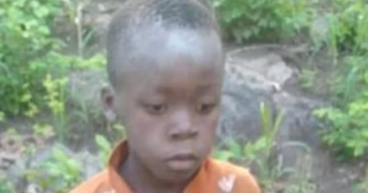 7-Year-Old Boy Survives Five Days Lost in Zimbabwe Game Park