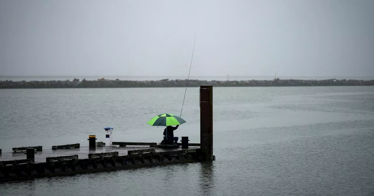 Vancouver's Rainy 2024 Contrasts with Drought in Other B.C. Regions