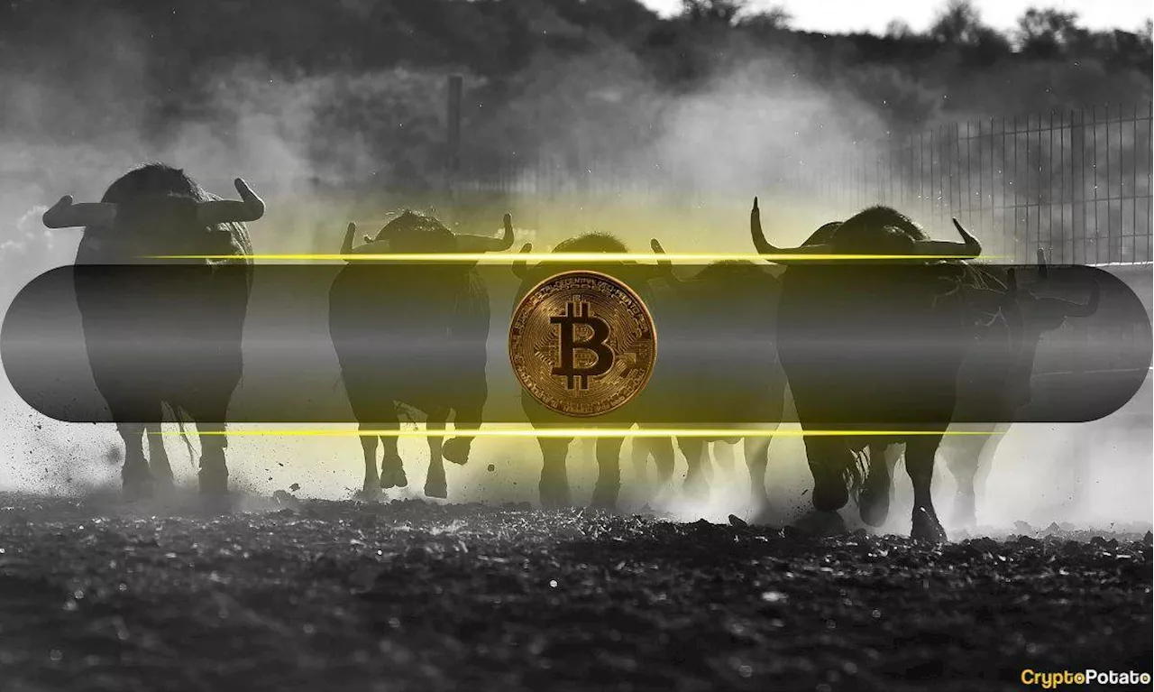 Bitcoin Cooling Off: Bull Market Continues?