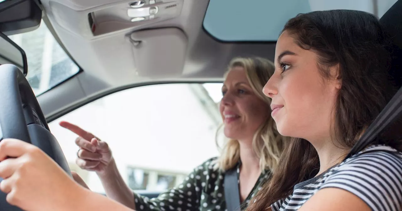 Driving Instructor Clarifies Meaning of Commonly Confused Road Sign