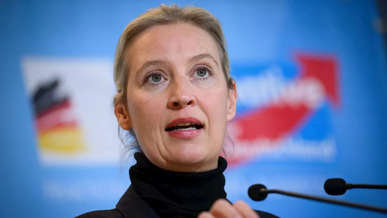 Auf X: AfD-Chefin Weidel will live mit Musk sprechen