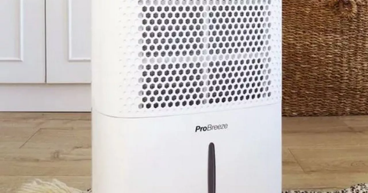 Debenhams Winter Sale: Grab a Dehumidifier for Just £99.99