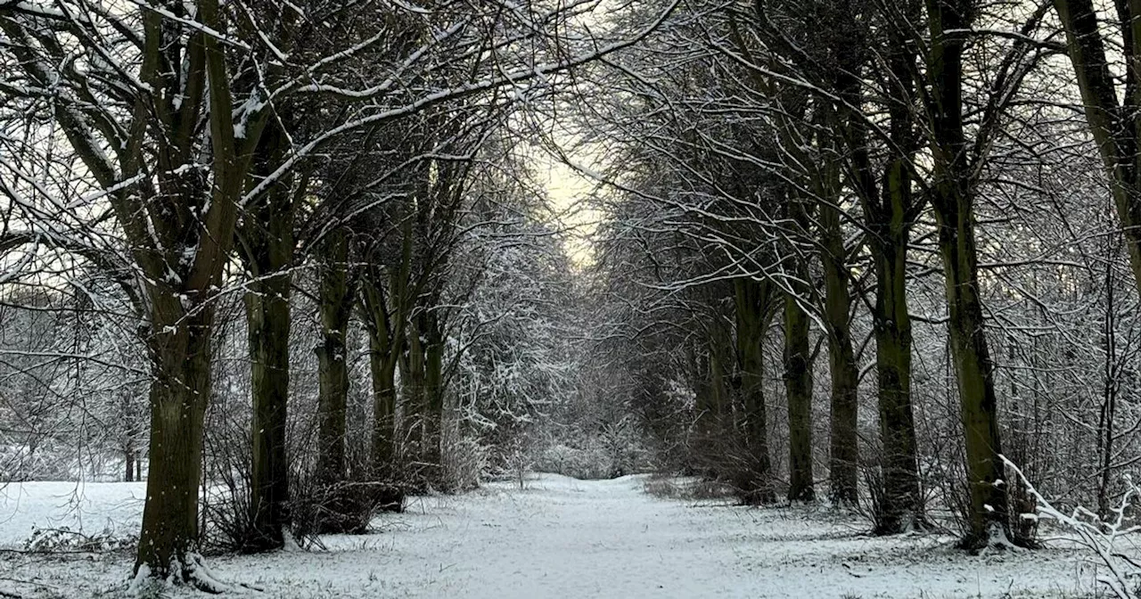 Liverpool's Best Winter Walks: Explore Sefton Park in a Snow-Covered Wonderland