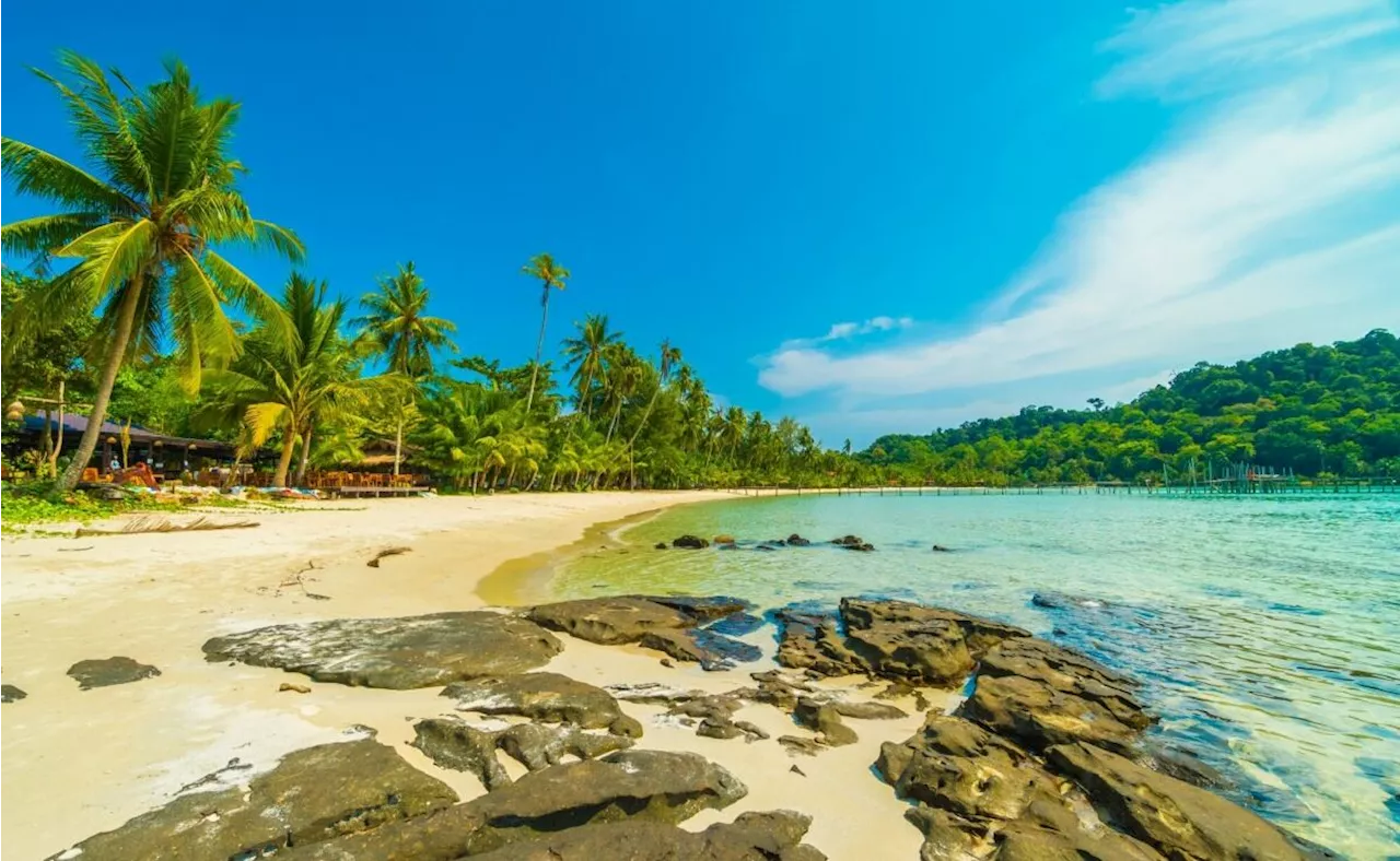 Playas con Alerta de Salud: Cofepris Advierte sobre Riesgos en Vacaciones