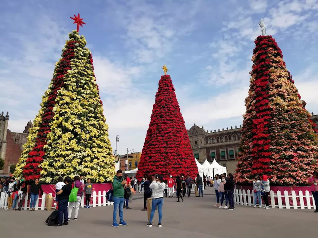 Roscas, carreras y rallys: Celebración del Día de los Reyes Magos en la CDMX