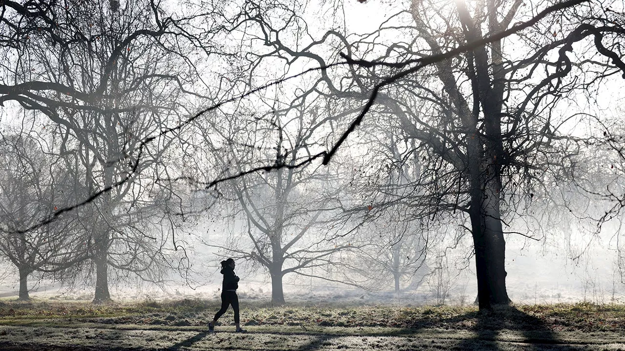 The Dangers of Winter Winds: Understanding Frostbite Risk