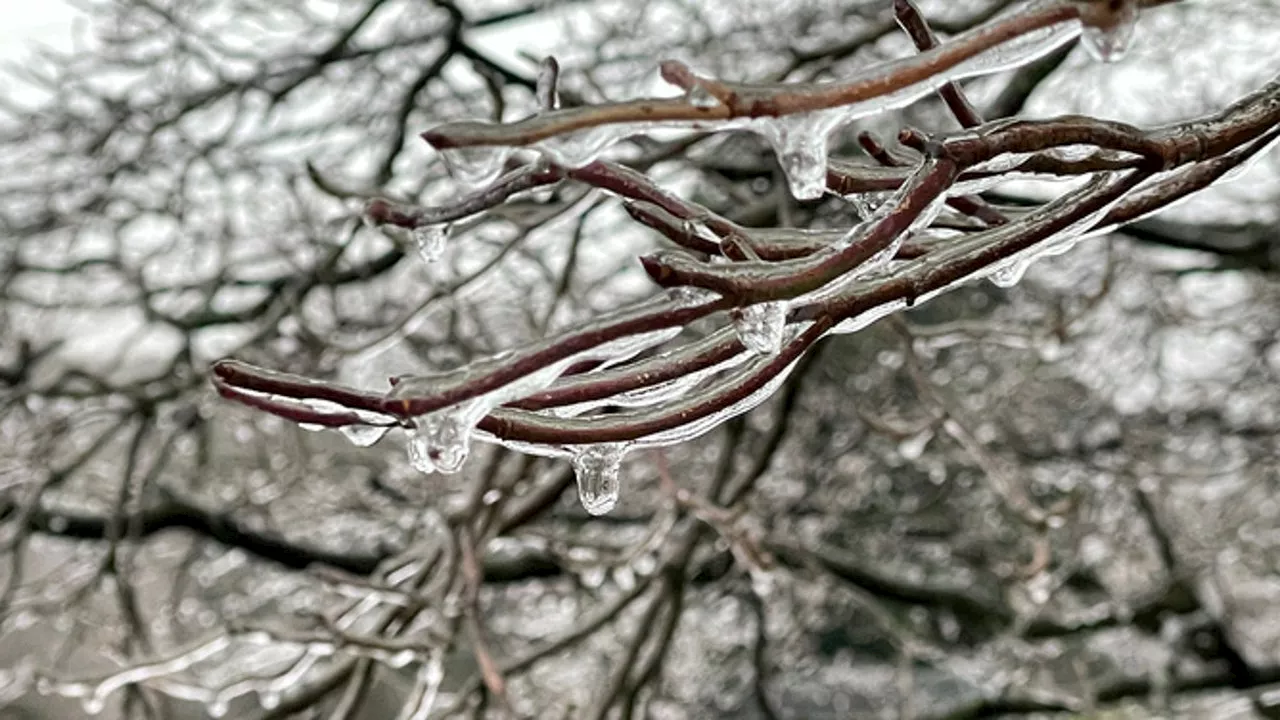 Understanding the Impacts of Ice Storms