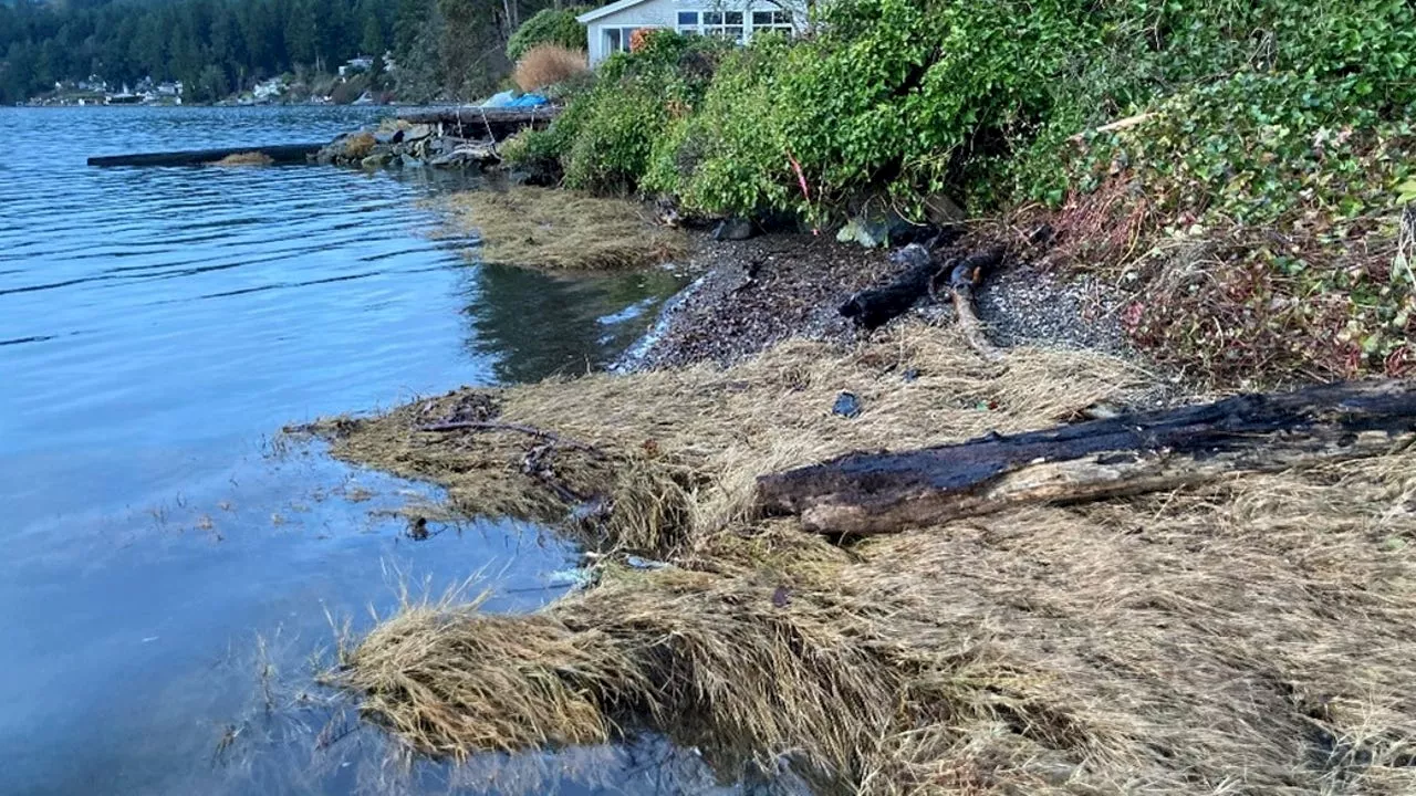 Washingtonians Warned About King Tides Expected to Hit South Puget Sound